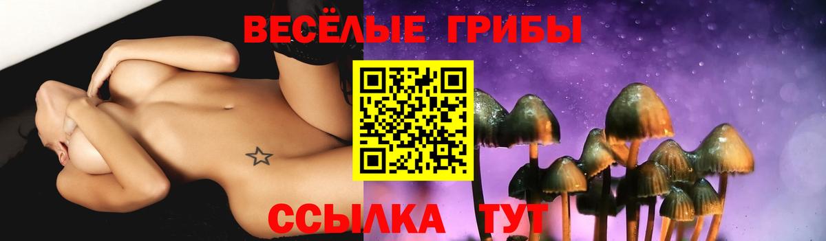 Псилоцибиновые грибы ЛСД  Псилоцибиновые грибы GOLDEN TEACHER  Вход с VPN  Усинск 